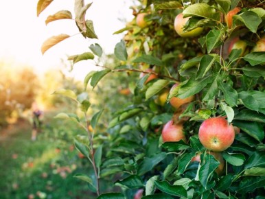 ��� ������� � ����� ������ ������: ������� ����������� �������