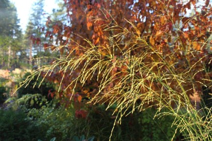 �������: ���������� ������ � ����� ����