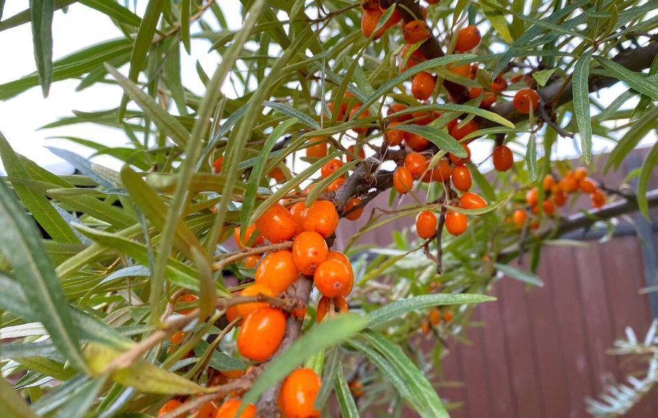 ��������� ������: ��� ��������� ���� �������� �� ����