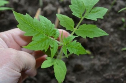 ��� ������� ������� ������� ������ � ������� ������� �������� �������