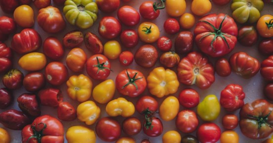 ������ ����� ����� ������� ����� ����� ���������� ������� ��� �����������