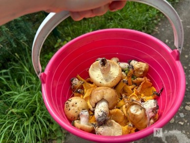 ����� � ����� �������: ����������� ���������� ������ �����