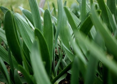 ��� ��������� ��� �� ������������ � �������� �������� ������ �����