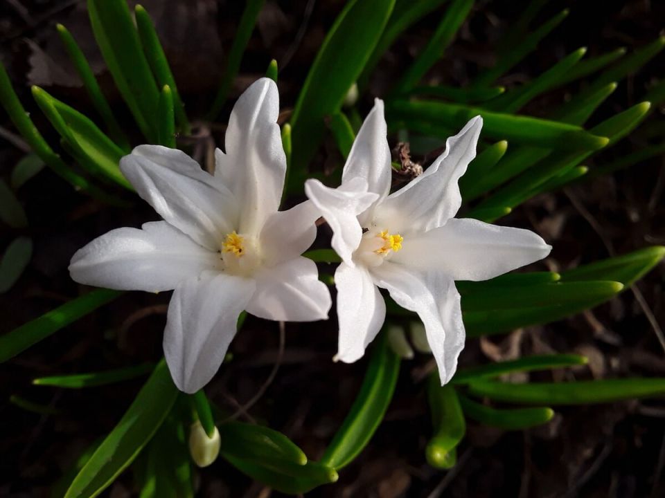 ����� � ����: �������� ��������� ��������