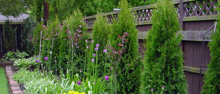 Креативные идеи для озеленения забора: как добавить стиль и уют