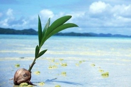 Как снизить беспокойства и жить легче