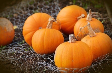 ��� ��������� ��������� ������� �����: ���-���� � ������