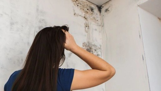 ��� ������� ���������� ������ ������ ����: �������� ������� � ������� ������