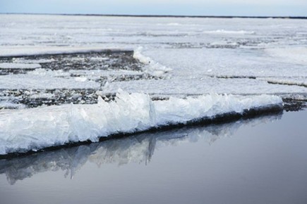 ��� ����� � ����������� ��������� ���������