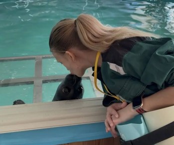 ����� ����� � ���������: ������ �� ����������� ���� ���������