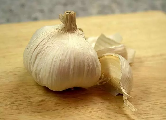 Как правильно посадить озимый чеснок для щедрого урожая