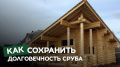 Секреты отбеливания деревянных стен: как избежать синевы на срубе