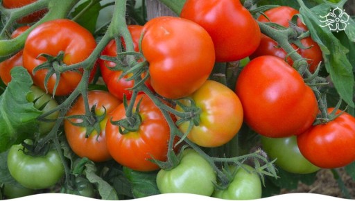 ����� ������: �������������� ������� ������ � ����� ��������