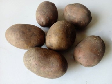 ����������� ������: ������ ����� ��������� ���� ��� ����� ��������