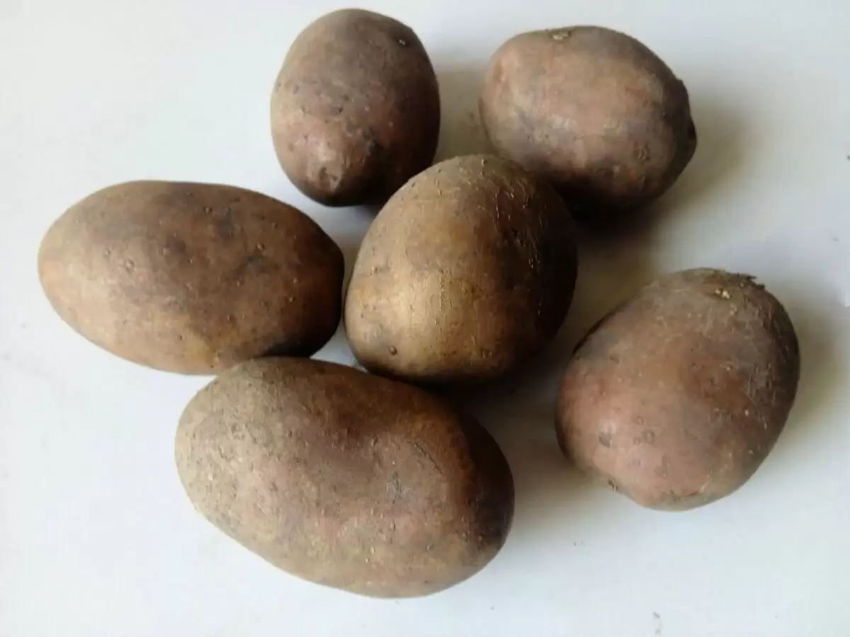 Неожиданный секрет: почему стоит добавлять соду при варке картошки