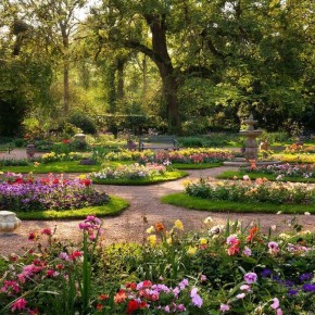 ��������� ������� ����: ������ ��������, ������� ����� ������� � ����