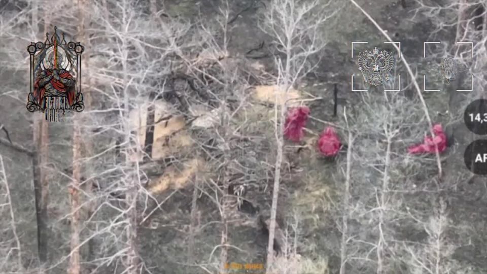 ���� ��������. ������� ������ ���������� ��� ���������� ������� �� ���������