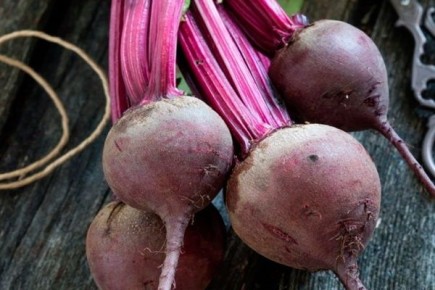 Секреты успешного выращивания свеклы Бон-Бон: советы для каждой дачи