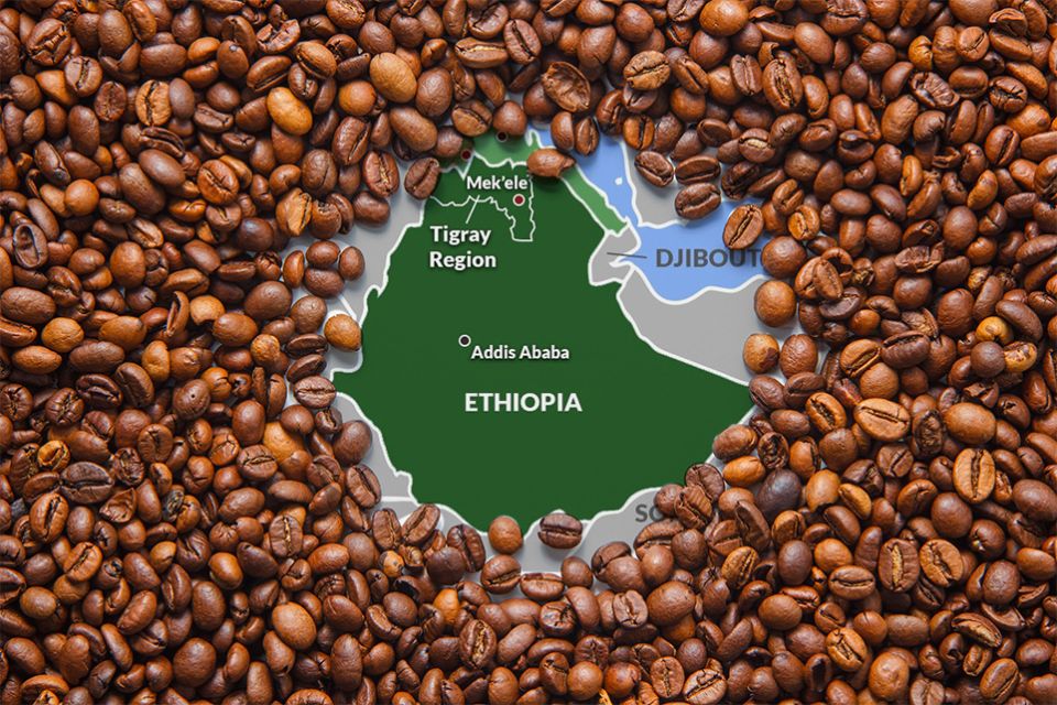 � ������ ��������: 22-� ����������� � �������� ������������ ���� � �����-�����