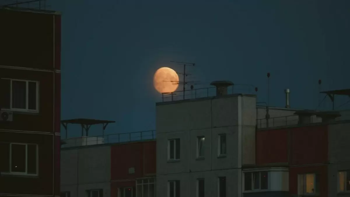 Как продлить жизнь утюгу: секреты идеального ухода