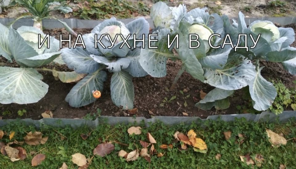 ���������� ������� �� �����: ������ �� ������� ���������