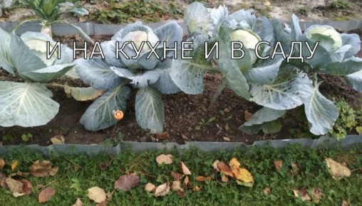 ���������� ������� �� �����: ������ �� ������� ���������