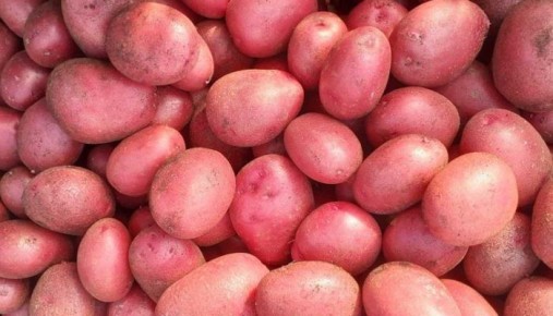 ��������� ����: ������������� ���� � ������������� ����������