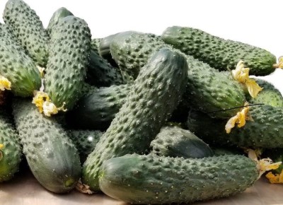 ������ ���������: ��������� ����� ��� ������� � ������� �������