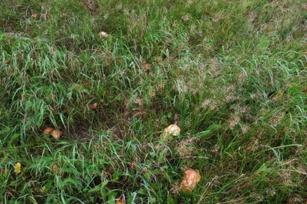 ������� ���� � ������������: ��� ������ ������� ����������� �����