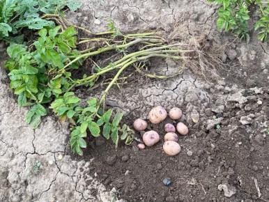 ������ ������������ ����� ����� �������� �� ����: 6 ������ ��� ��������