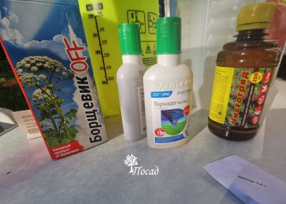 ����������� ����� � ����������: ��� ����� ����� ���������