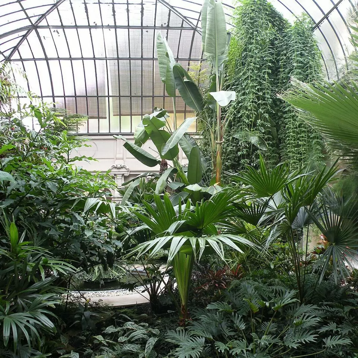 Как создать зимний сад на балконе: практические советы для вашего зеленого уголка