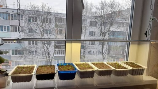 ����������� ������� �������� ������� � ������ �����