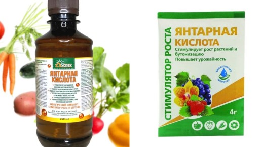 ��� ������������ �������� ������� ��� ����� �������