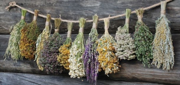 ������ �������: �������� �������� ��������� ����