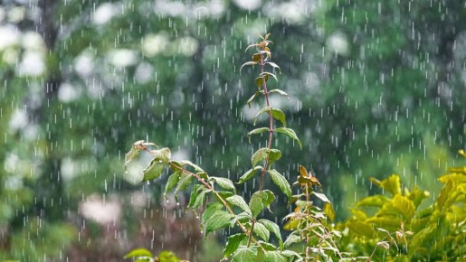 ������ ����� � �����: ��� ������ ���� �������� �� ���������� �����