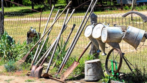 ��� ����������� ������ ������������: 6 ���� ��� ����������� �������� � ������� ����������� ������