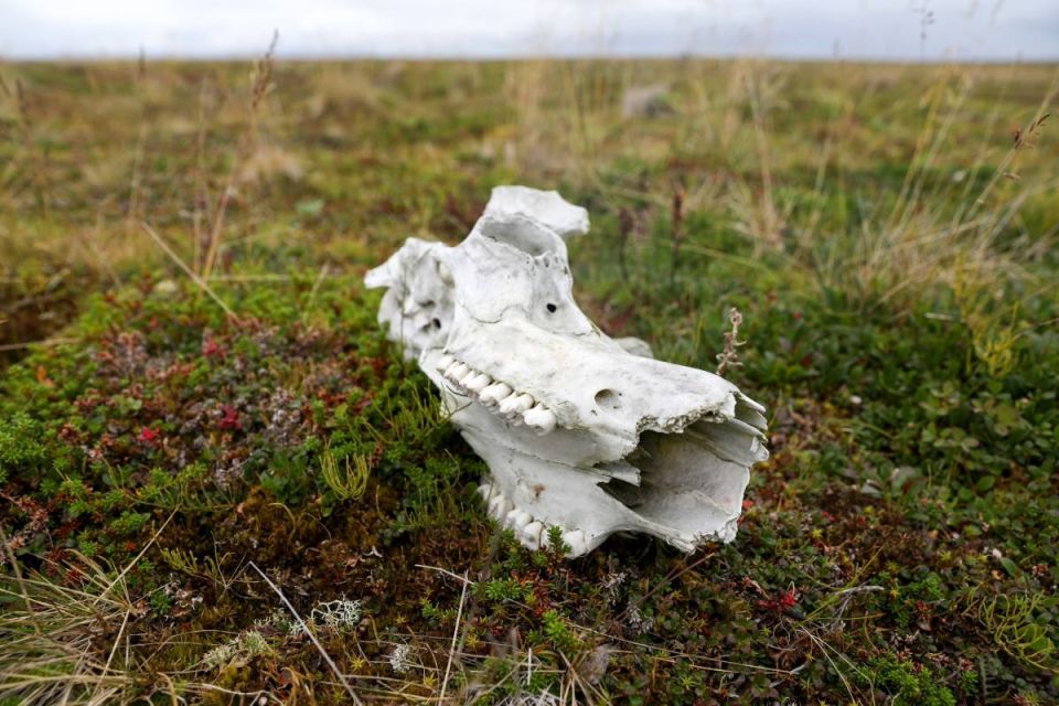 ���������� ������������ �� � ��� ��� �������, ��� ������ � ��������� �������� � �� ������� ��� ������