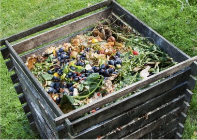 ����� �� �������: ����� ������ ����� ������� �������� �� ���������� ����