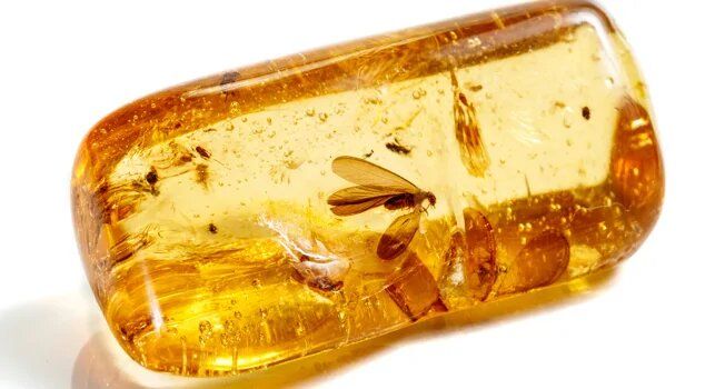 ��� �������� ������� �����������?