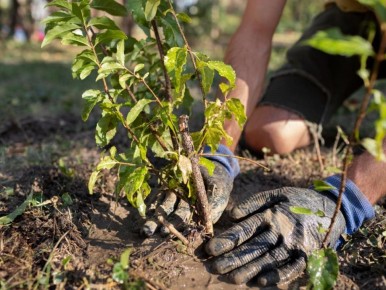 5 ��������, �� ������� ����� ��������� ��������