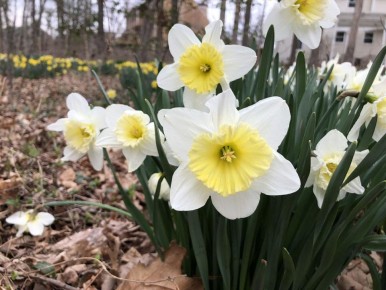 ��������� ����� �� ���������: ���� ������� ��������