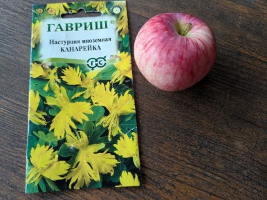 Неожиданные результаты: как настурция «Канарейка» превратила мечты в реальность