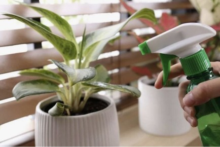 ��� �������� �������� �������� �� ����������: ���������� ������