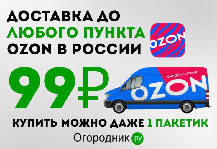 �������� Ozon �� 99 ������: ��� ���������� �� ������ ������� � ������