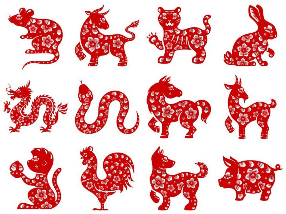 ��� ��� �����: ����� ������ ������� ��������� � �������������� ������������