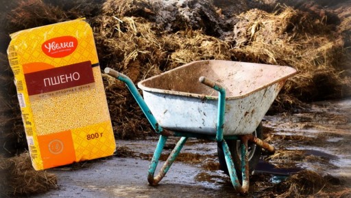 ������� �����: ����� �� ���������� ����� � �������� � ������� �����?