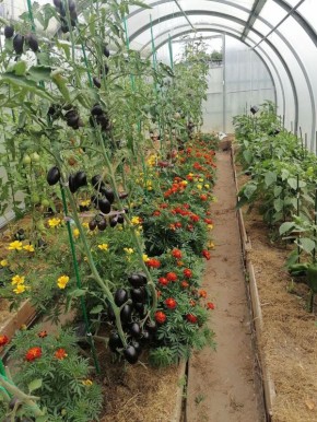 ������������ ������� ��� ���������� ������