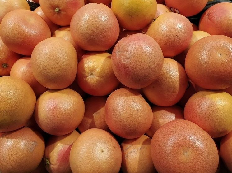 ���������: ������� ��������� � ������������ ����������