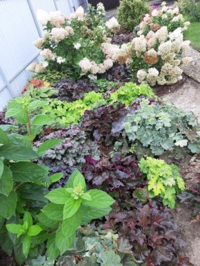 �����, �� �������� �� ����� ���������: ������������, ������� ������� ��� ��� ����